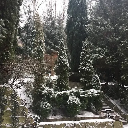 Almira Polanica-Zdrój