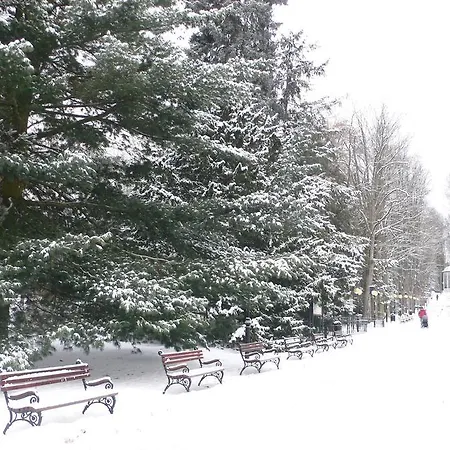 Couette-café Almira 3*