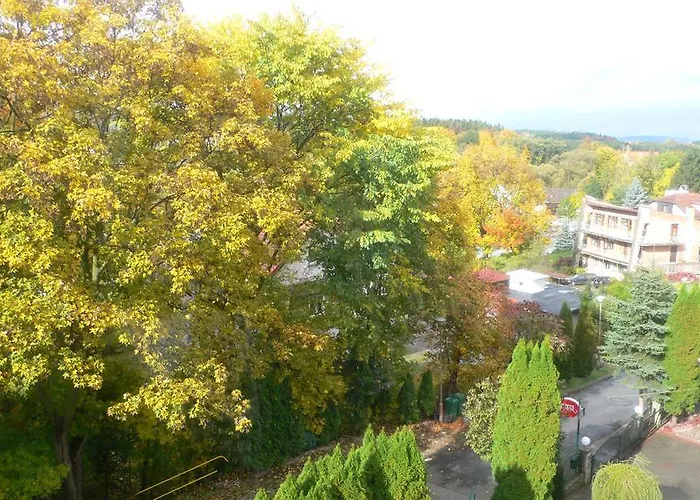 Almira Couette-café Polanica-Zdrój