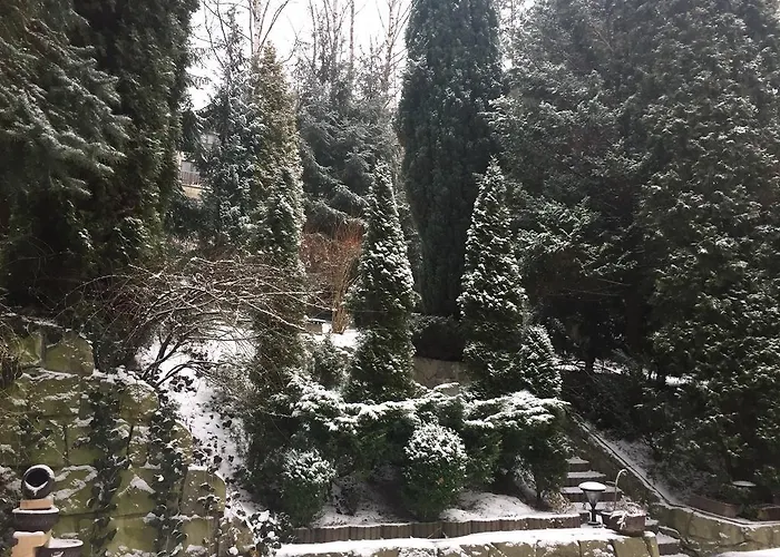 Almira Polanica-Zdrój